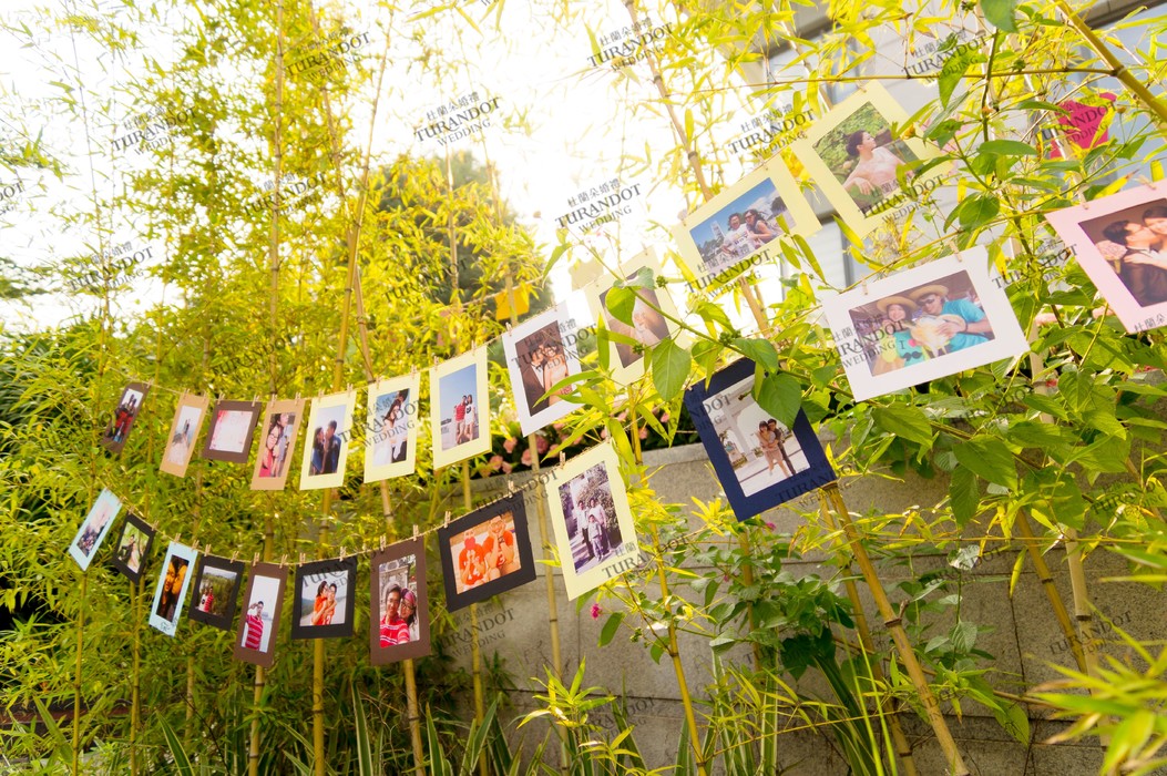 户外的照片墙,也可以很清新!