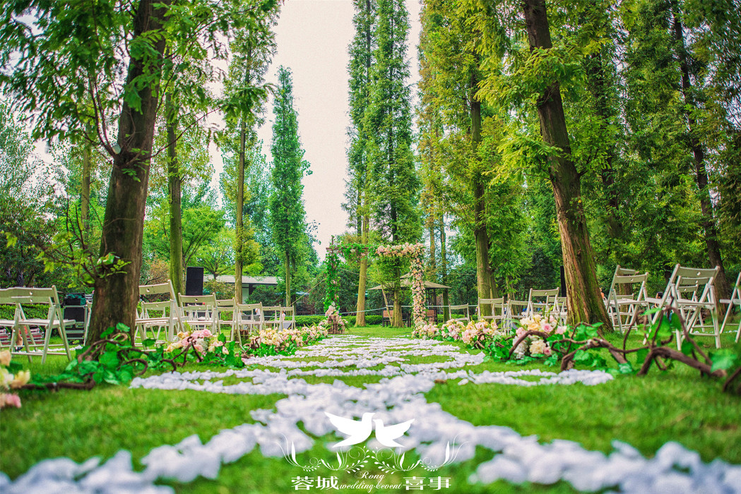 路引通道森林婚礼户外草坪婚礼   森林婚礼《林间密境》 主题定制丛林