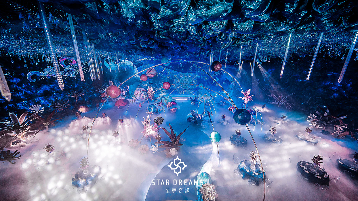 梦幻星空主题婚礼《stardreams》-来自宁波星梦奇缘婚礼策划客照案例