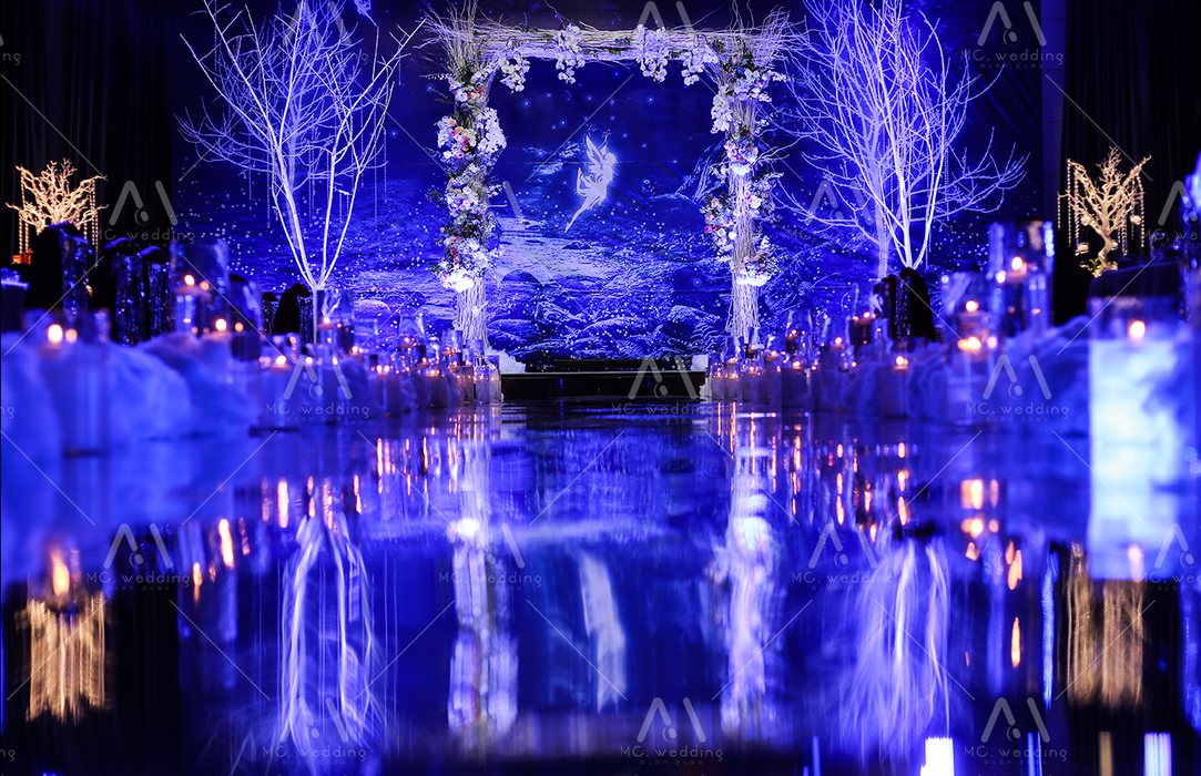 梦幻星空主题婚礼《月光·森林》