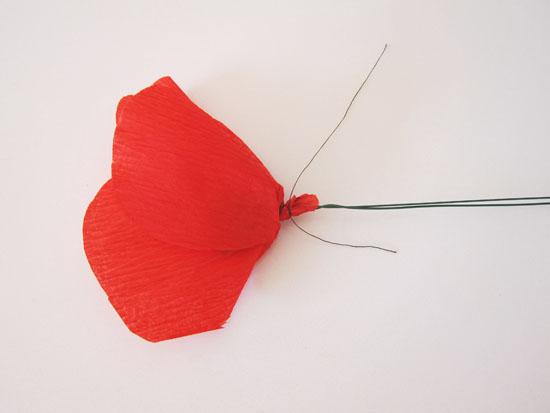 用绉纸diy纸罂粟花,喜欢纸花的diy 的手工达人们k可以学习下哦