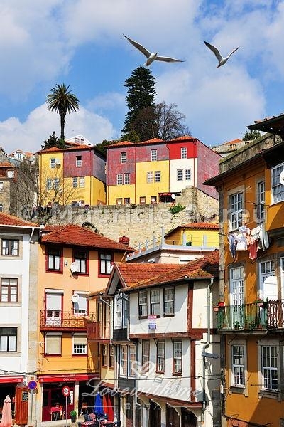行走在葡萄牙小城波尔图,古典葡式风格的建筑给予了强烈的视觉冲击