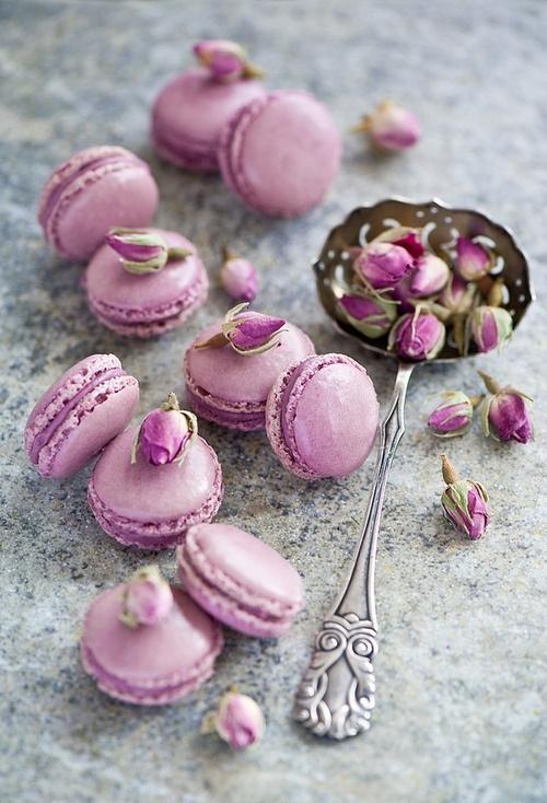 标签 马卡龙 花多 颜色 描述