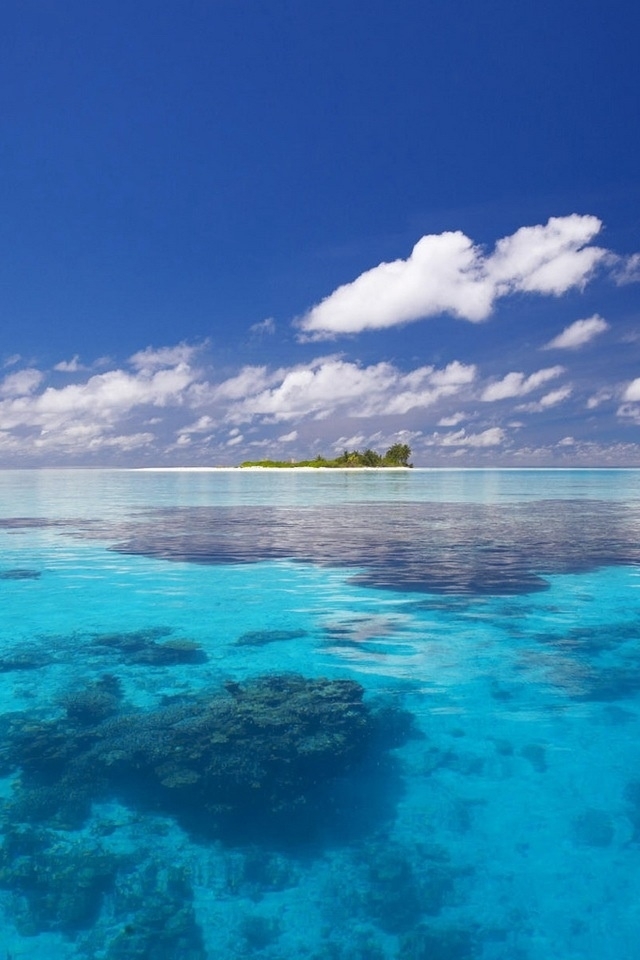 英式萦怀热带浪漫——巴巴多斯岛蜜月,处处可见英式.